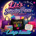 Mystery large  handbag bundle.